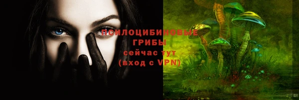 СК Зеленокумск
