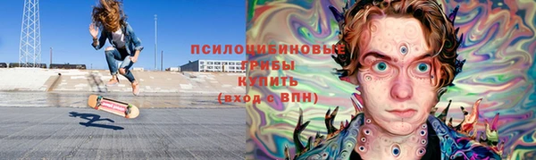 PSILOCYBIN Зерноград