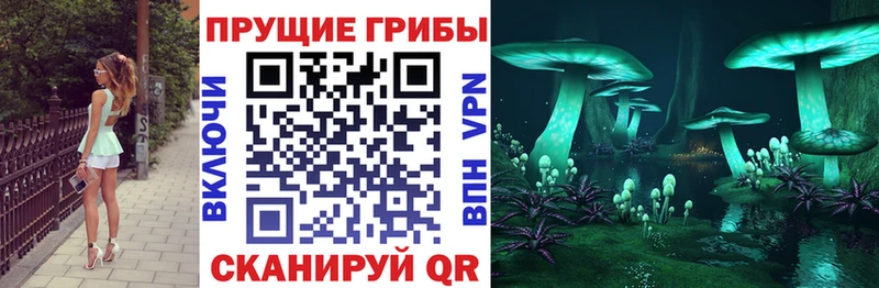 цены   omg вход  Псилоцибиновые грибы мухоморы  Калачинск 